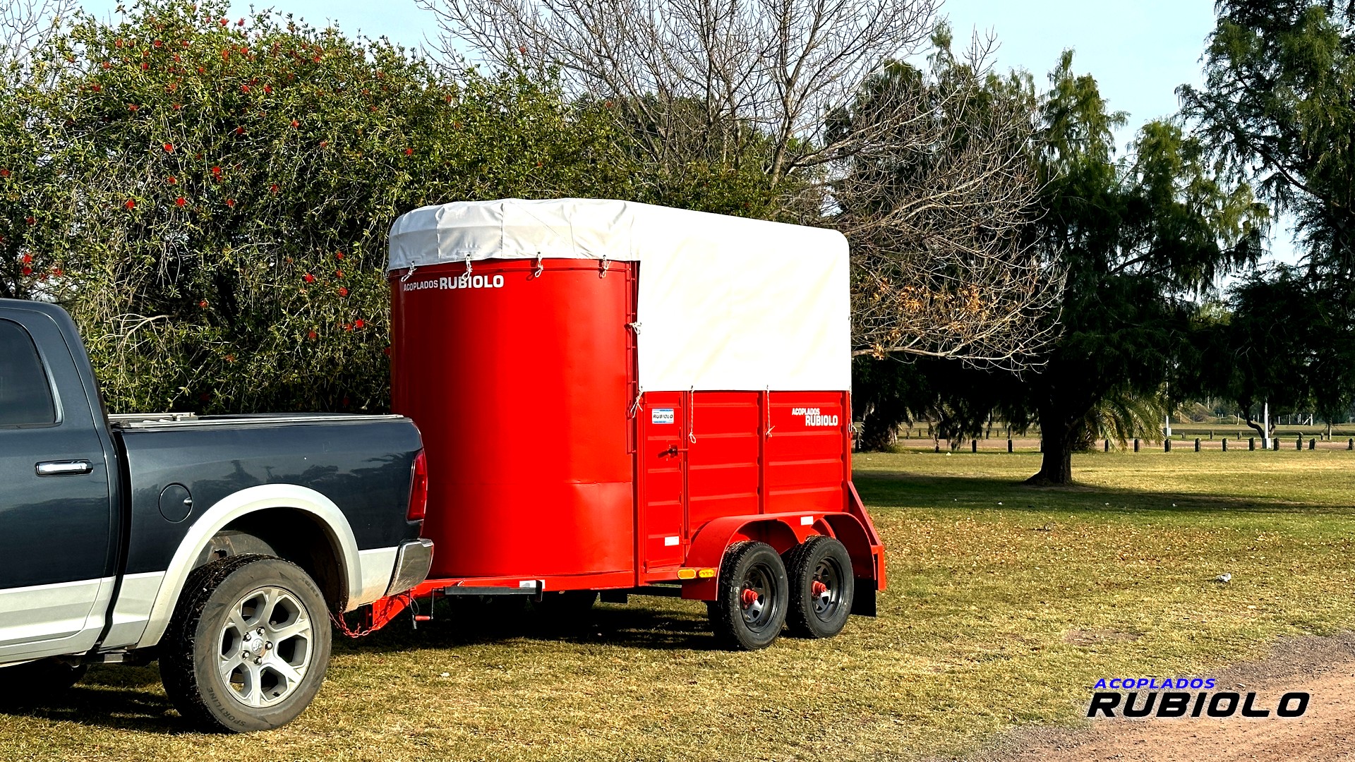 Trailer Homologado para dos Caballos (JA1009-S) - Imagen 3