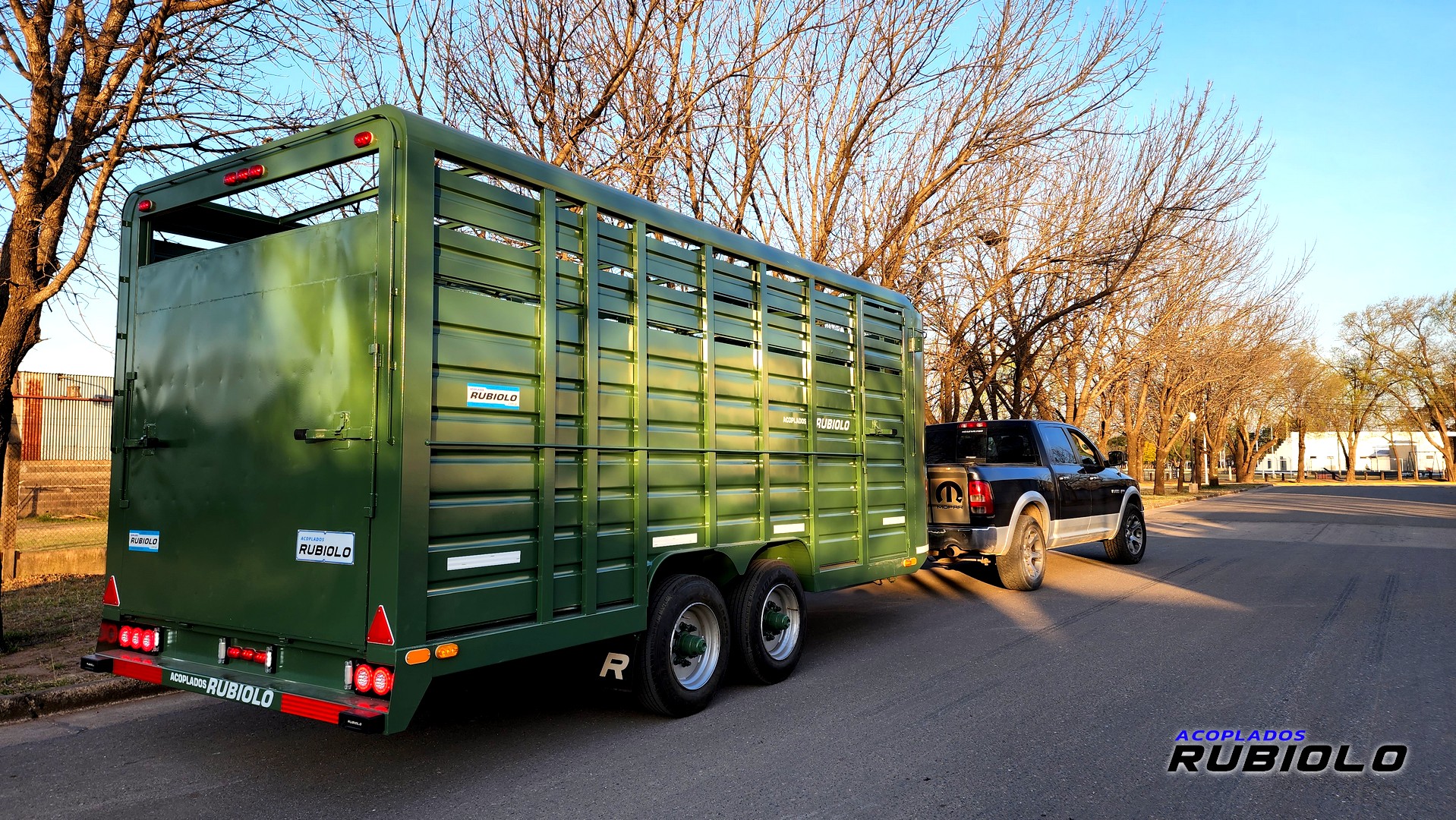 Acoplado Jaula de 5 Mts. para caballos (JA1011) - Imagen 4