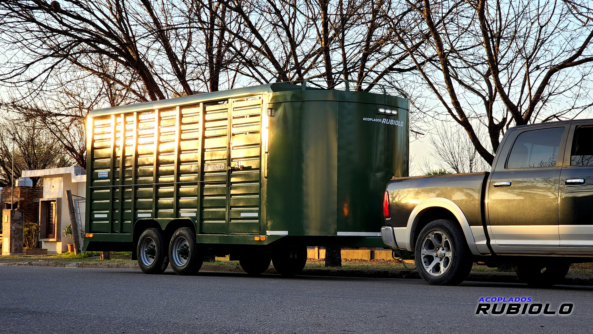 Acoplado Jaula de 5 Mts. para caballos (JA1011) - Imagen 3