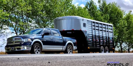 Trailer Semirremolque Homologado para caballos Estilo Americano (JA1015-S)
